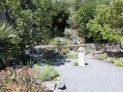 183 HYERES ET SES PALMIERS D02_000040